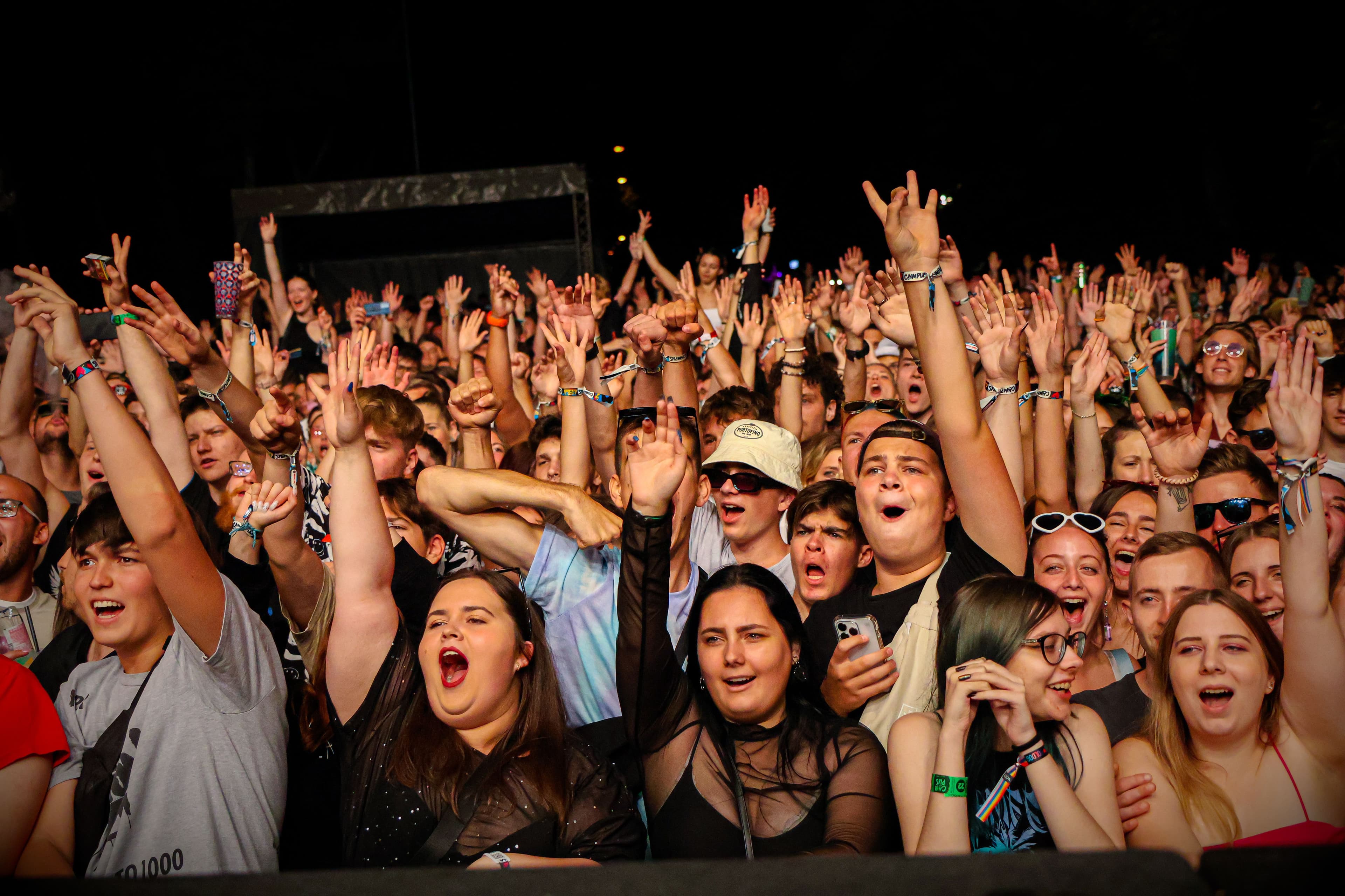 Large festival crowd cheering with hands in the air